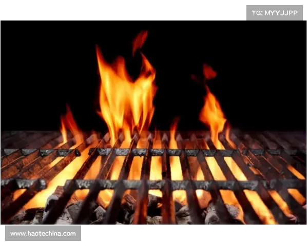 探秘朱雀天境之门开启的终极秘诀与修炼心法详解 探秘朱雀天境之门开启的终极秘诀与修炼心法详解