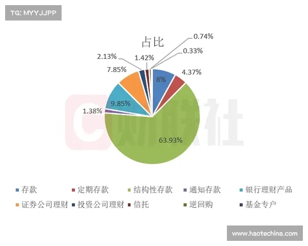 北美洲杯赛的不同类别及其历史发展与赛事结构解析