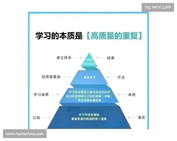 如何高效学习巴舒亚伊母语及其文化背景知识的方法与技巧
