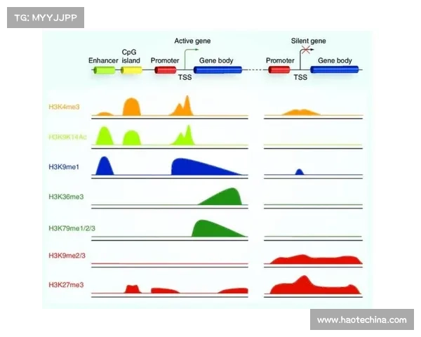 奥林匹亚科斯成功的五大关键因素揭秘分析