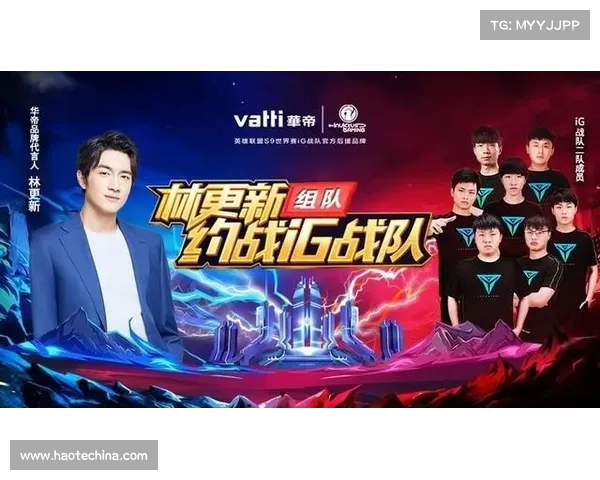 奥运冠军的转型之路：迈向更广阔舞台的挑战与机遇