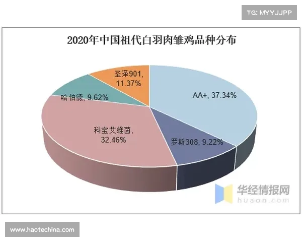 如何全面评估卢库米的转会潜力与未来发展前景分析